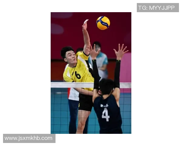 最新排球状态排行榜前十名杭州排球队稳居榜首表现出色