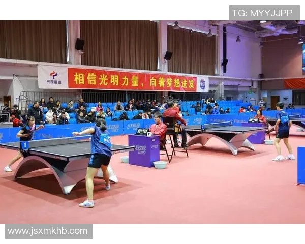 杭州乒乓球队的精神风貌与团队意识探讨